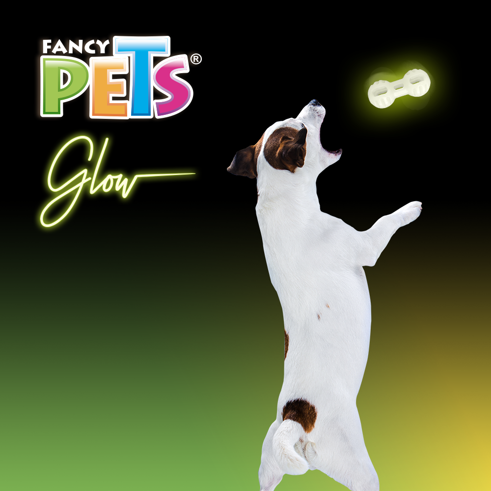 Foto 4 pulgar | Fancy Pets Juguete Pesa Glow Para Perro Brilla En La Oscuridad Tamaño Chico