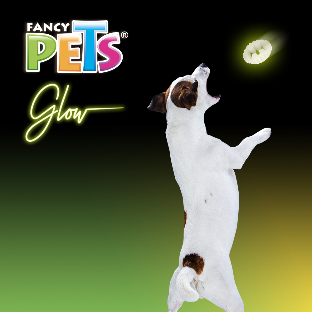 Foto 5 pulgar | Fancy Pets Juguete Balón De Rugby Glow Para Perro Que Brilla En La Oscuridad Tamaño Chico