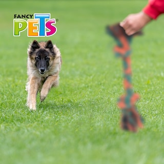 Foto 2 | Fancy Pets Juguete Mordedor Hueso De Hilo Para Perro De 30 Centímetros, Varios Colores