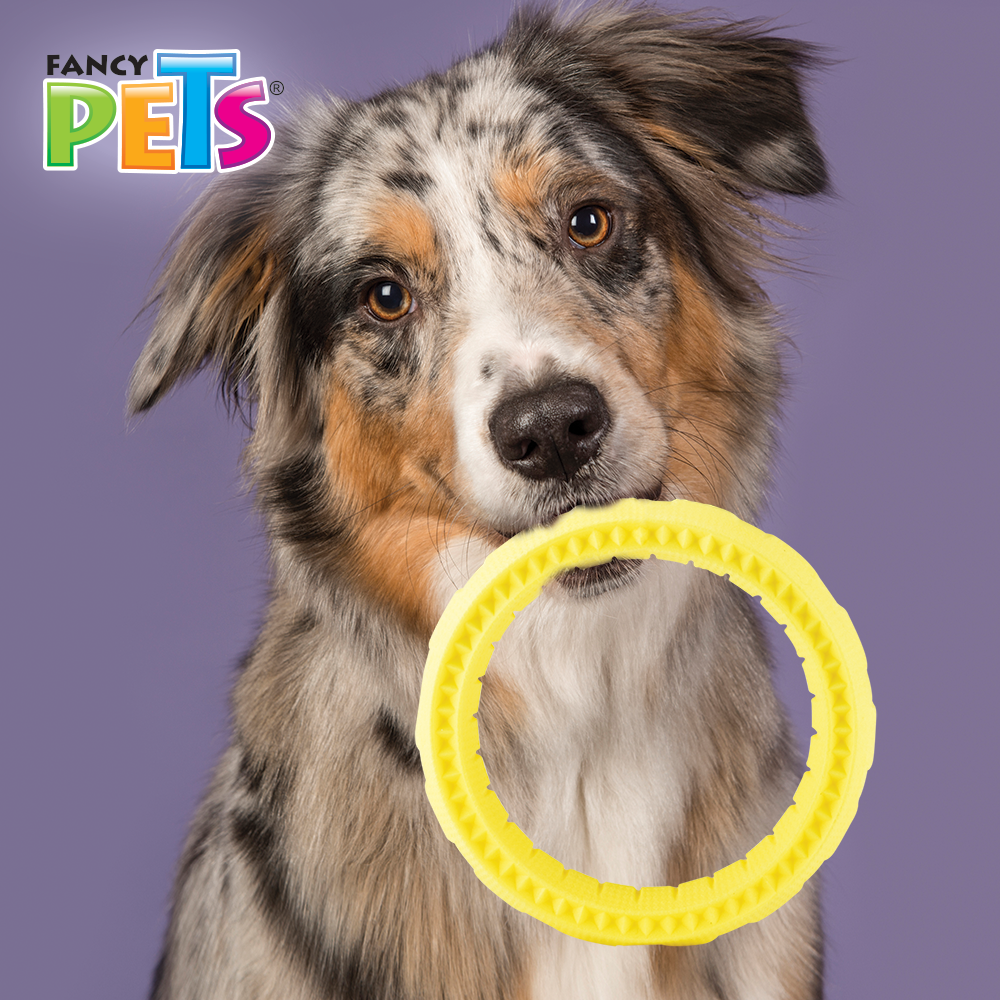 Foto 3 | Fancy Pets Juguete Chew Aro Masticable Para Perro Tamaño Chico