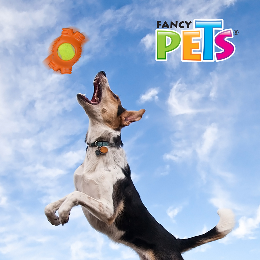 Foto 4 pulgar | Fancy Pets Juguete Hueso Con Pelota De Tenis Para Perro