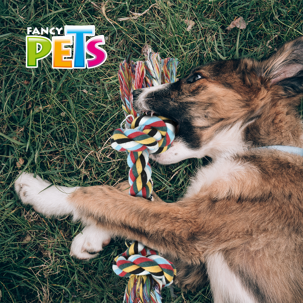 Foto 2 | Fancy Pets Juguete En Foma De Hueso De Soga Con Pelota De Tenis Para Perro