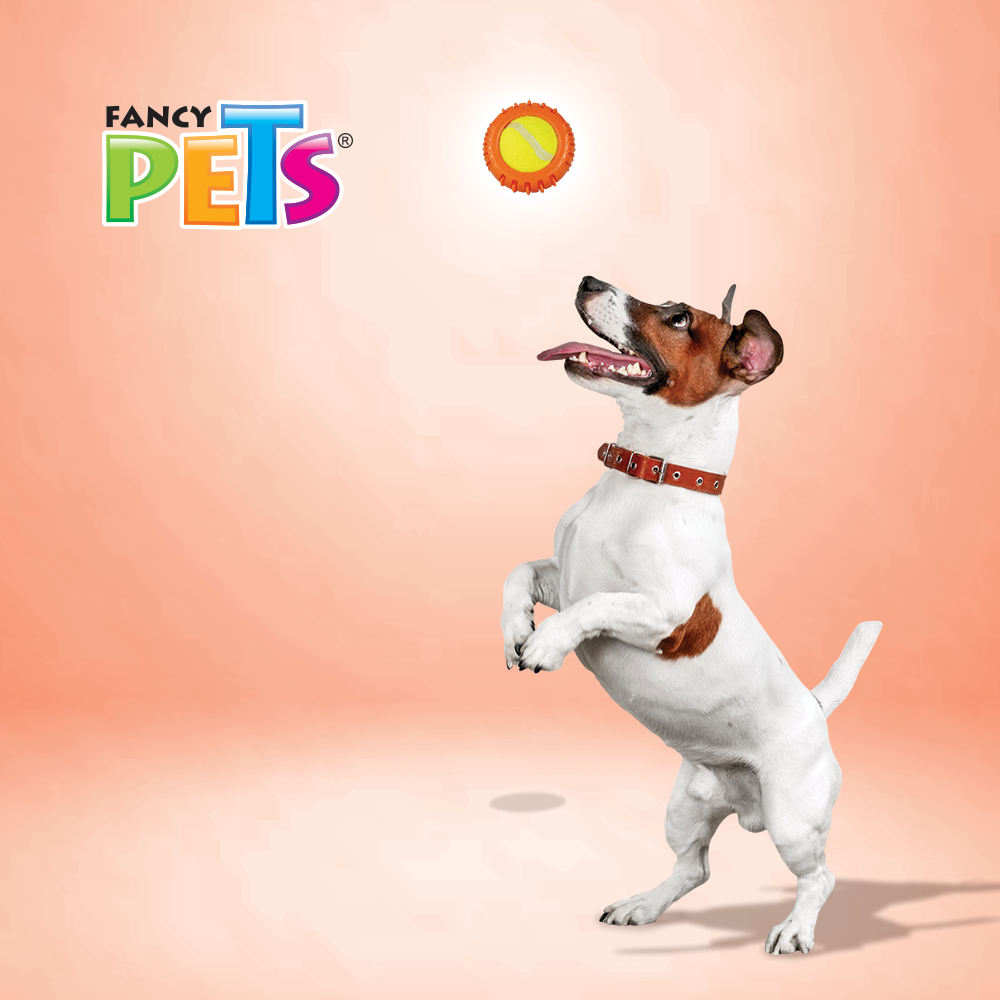 Foto 4 pulgar | Fancy Pets Juguete Con Pelota De Tenis Para Perro