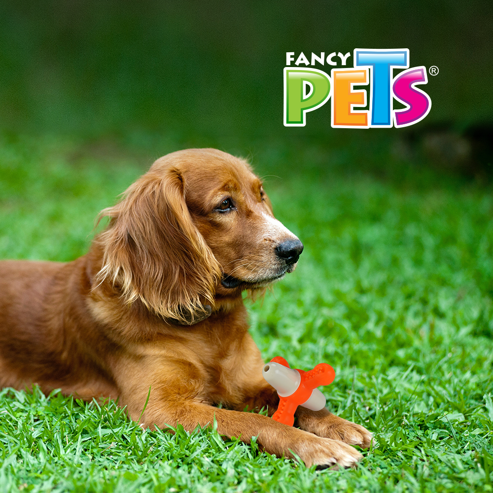 Foto 4 pulgar | Fancy Pets Juguete Dental Matatena Con Sonido Para Perro