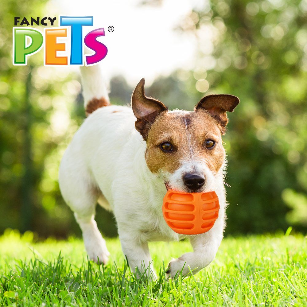 Foto 4 pulgar | Fancy Pets Juguete Pelota De Caucho Acalanada Para Perro Varios Colores