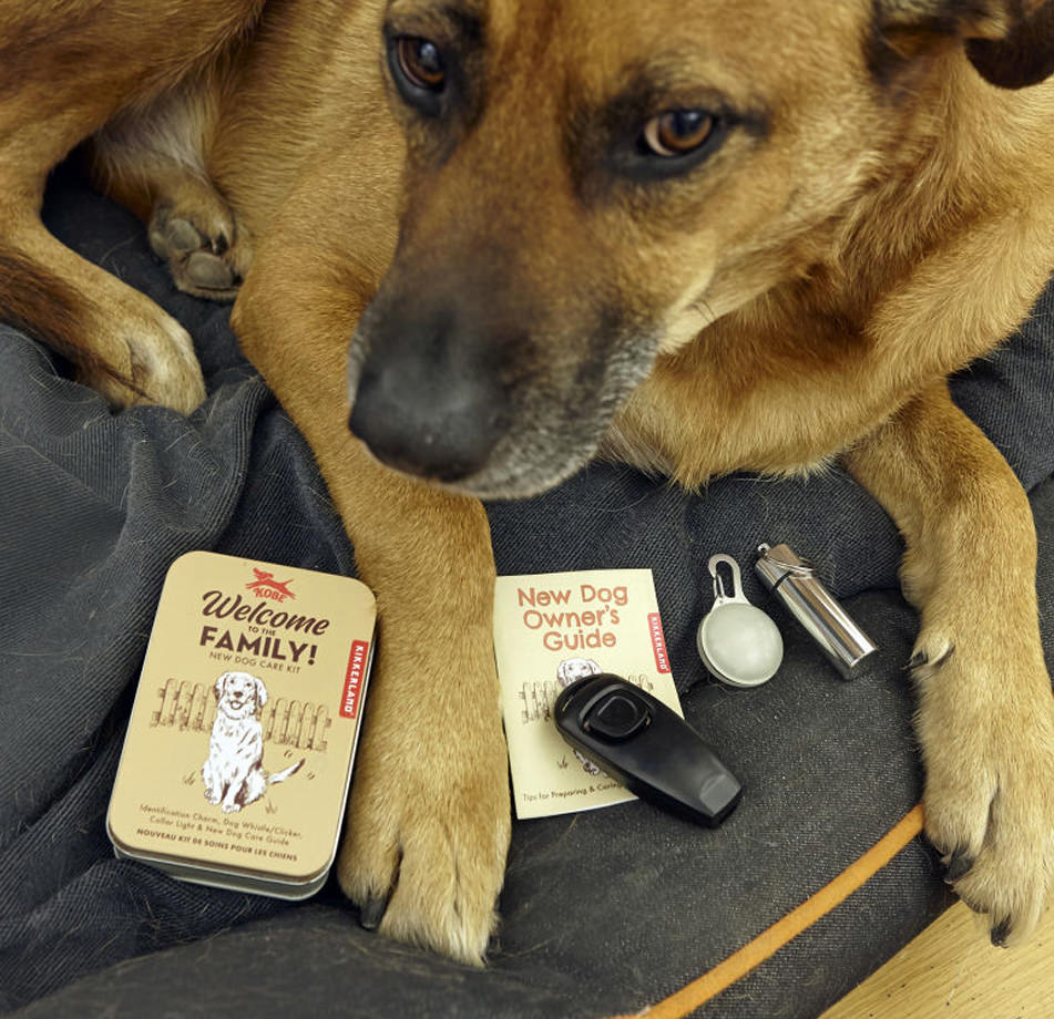 Foto 3 pulgar | Kit de Bienvenida Para Perros de La Familia Kobe
