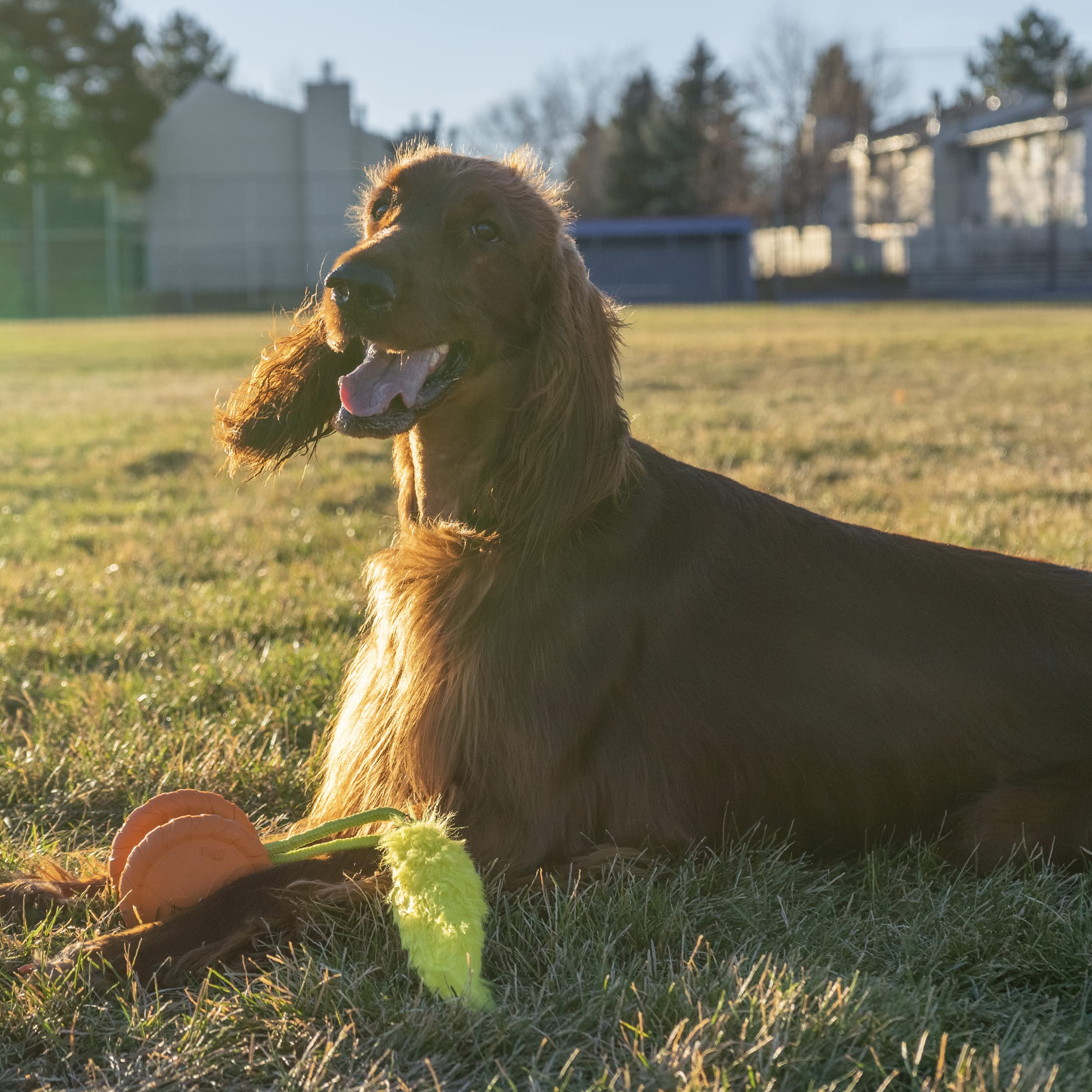 Foto 6 | Ruleta Giratoria Dog Chase Toy Outward Hound Tail Squeaky Con Cola Peluda - Venta Internacional.