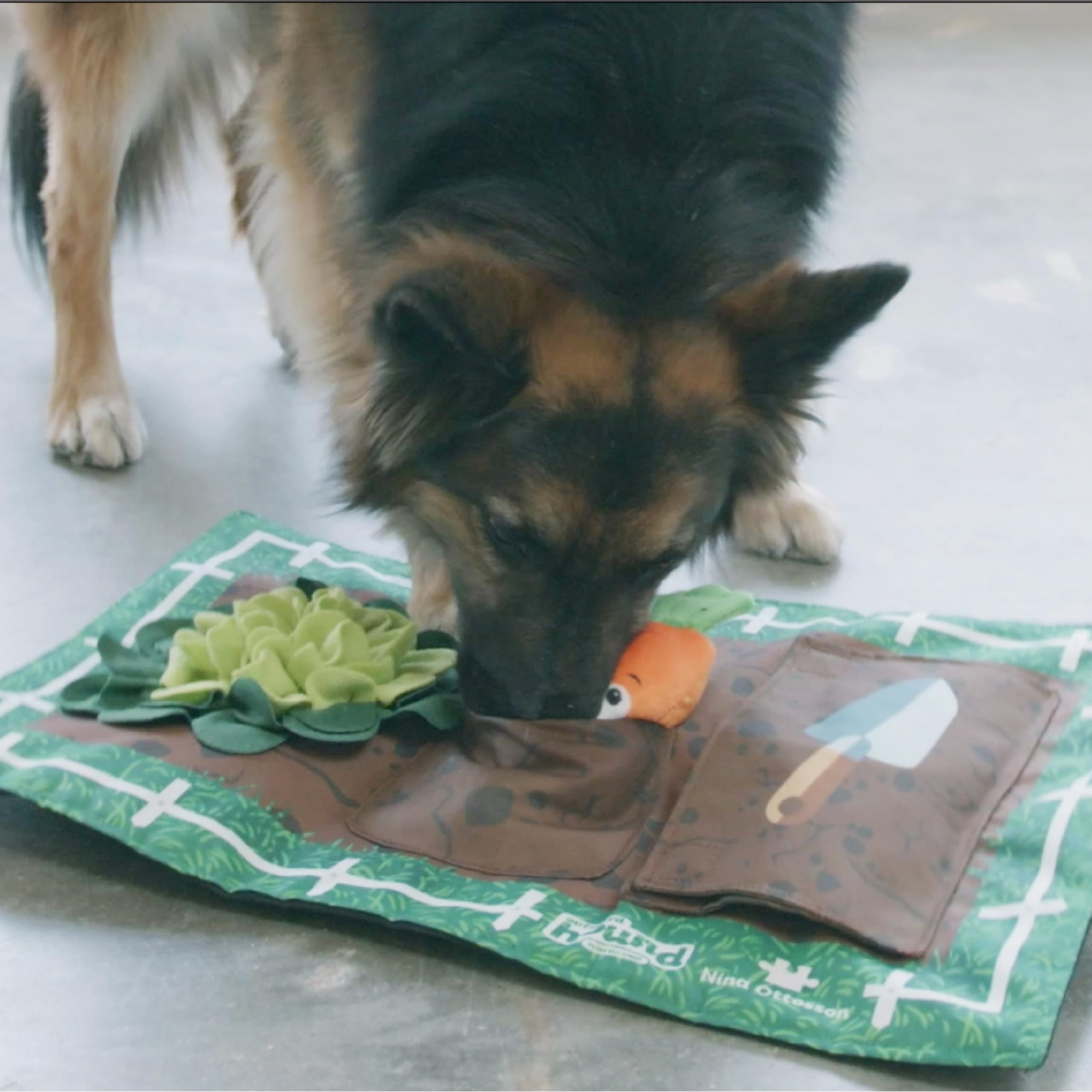 Foto 6 pulgar | Juguete Para Perros Outward Hound Nina Ottosson Activity Matz Garden Game - Venta Internacional.