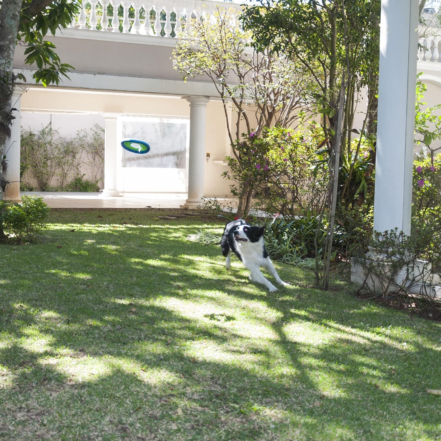Foto 4 pulgar | Dog Fetch Toy Chuckit! Lite Flight Large (25 Cm De Diámetro) - Venta Internacional.