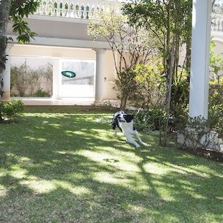Foto 3 | Dog Fetch Toy Chuckit! Lite Flight Large (25 Cm De Diámetro) - Venta Internacional.
