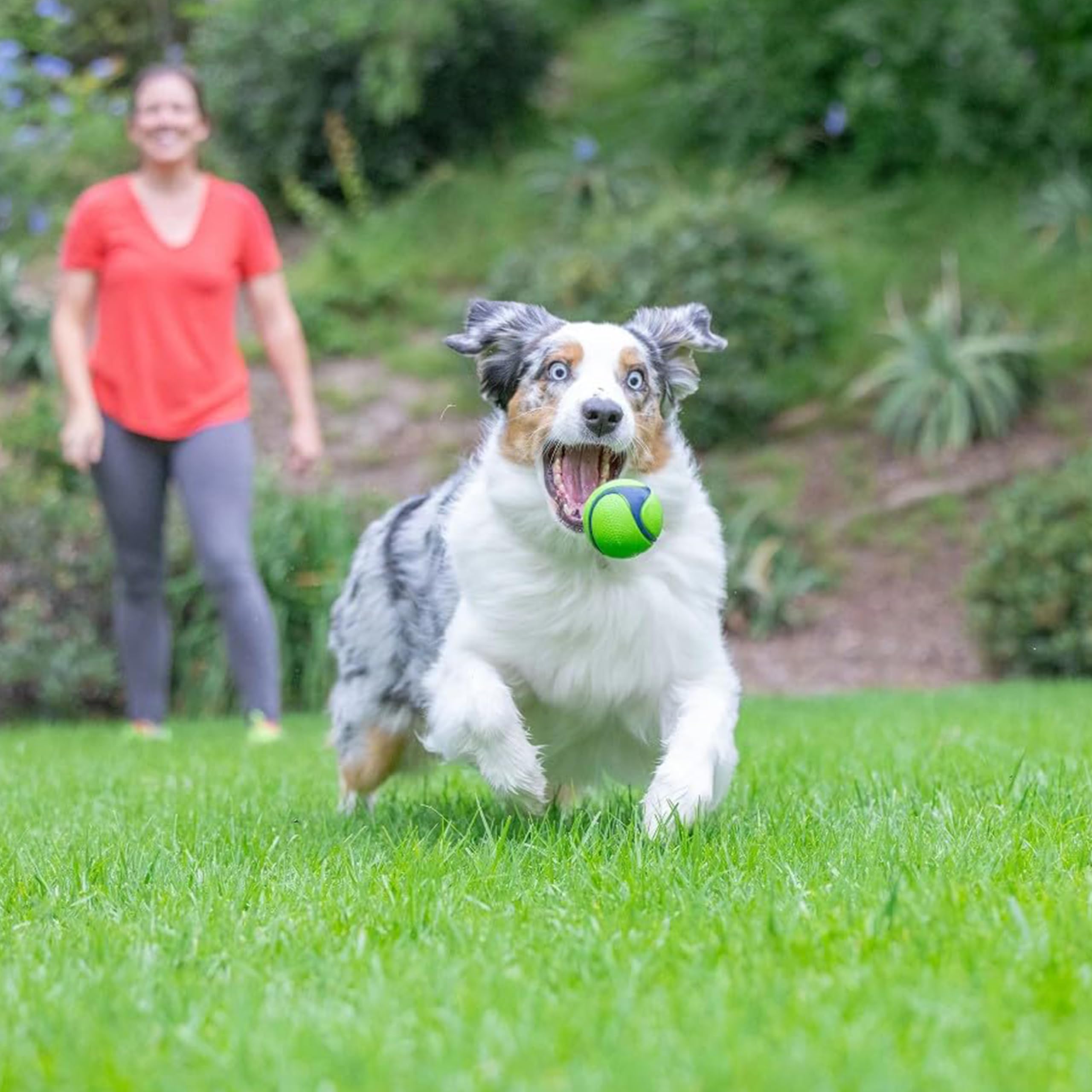Foto 2 | Juguete Para Perros Chuckit! Pelota De Goma Sniff, Duradera Y Con Alto Rebote - Venta Internacional.