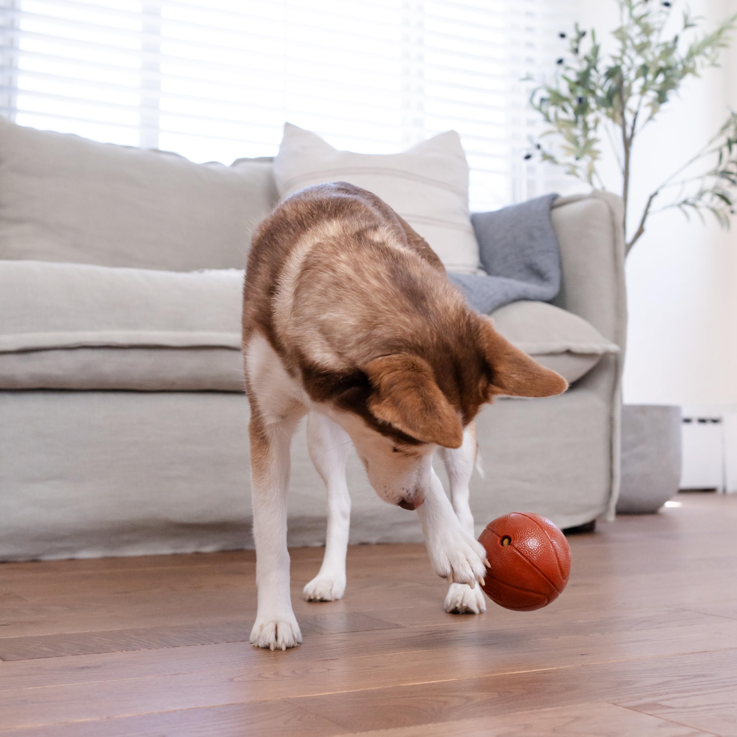 Foto 7 | Dog Toy Outward Hound Sport Ballz, Dispensador De Golosinas De Baloncesto - Venta Internacional.