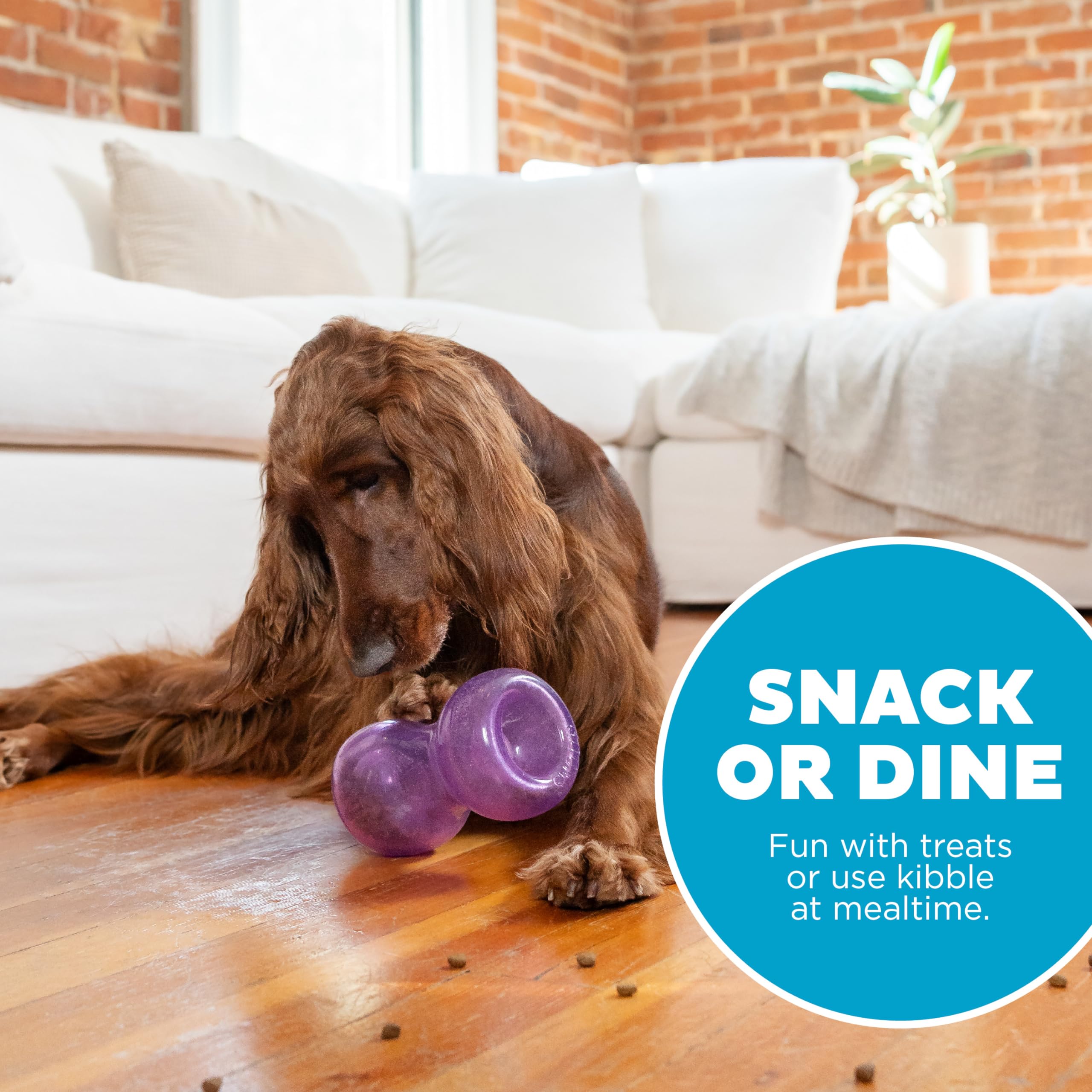 Foto 6 pulgar | Juguete Para Perros Outward Hound Double Snoop Interactive Treats - Venta Internacional.