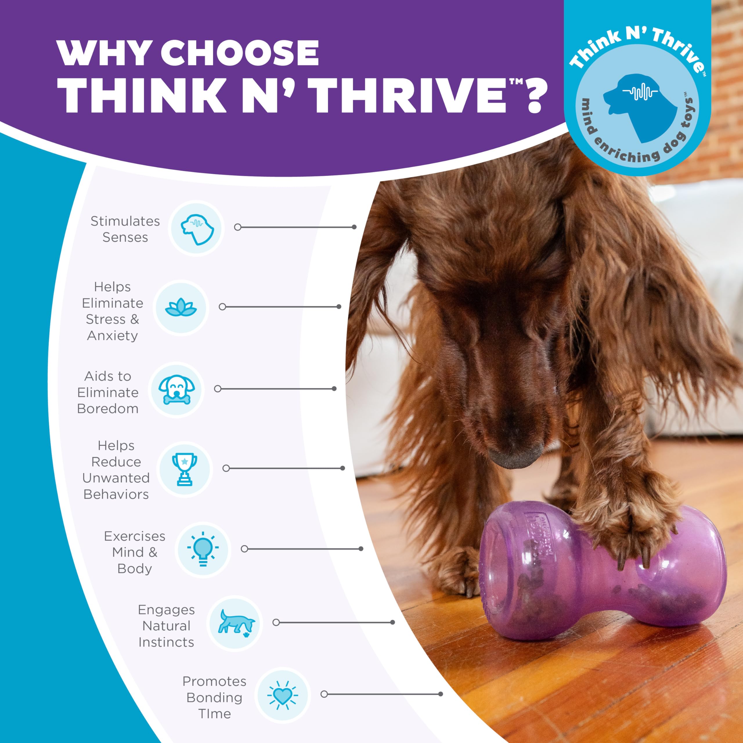 Foto 7 pulgar | Juguete Para Perros Outward Hound Double Snoop Interactive Treats - Venta Internacional.