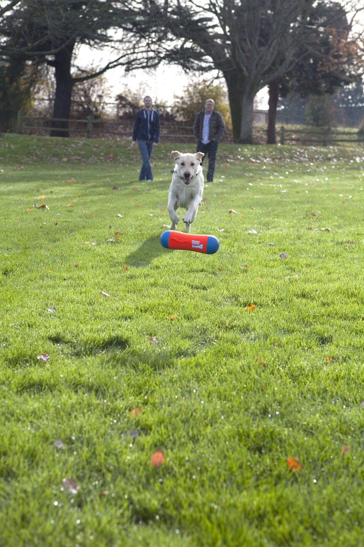 Foto 4 | Juguete Para Perros Chuckit! Tumble Bumper, Tamaño Mediano - Venta Internacional.