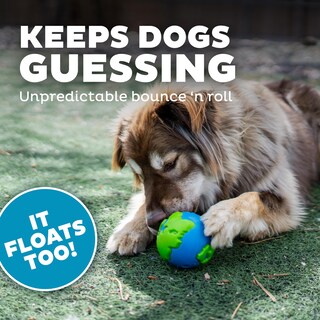 Foto 6 | Juguete Dispensador De Golosinas Planet Dog Orbee-tuff Planet Ball - Venta Internacional.