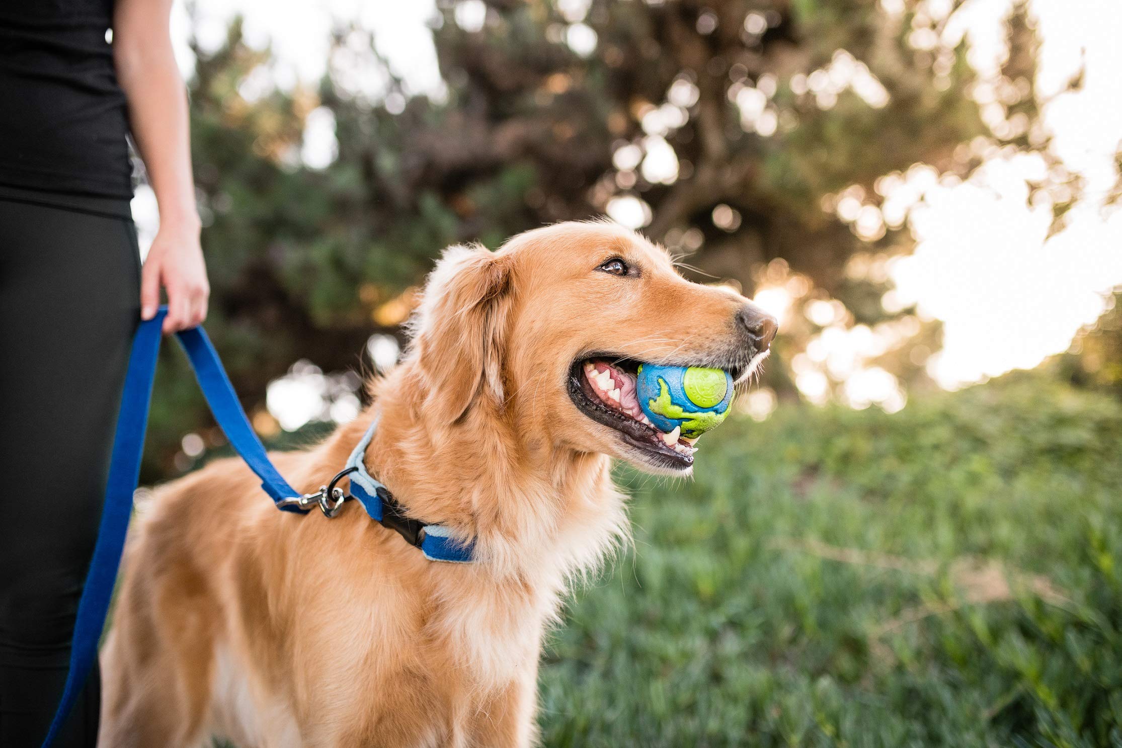 Foto 7 | Juguete Dispensador De Golosinas Planet Dog Orbee-tuff Planet Ball - Venta Internacional.
