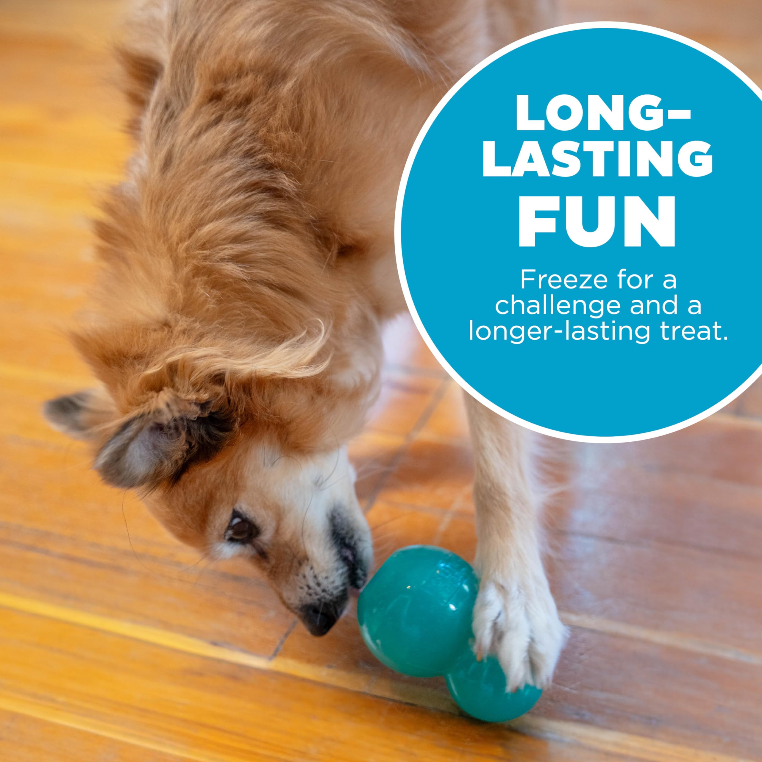 Foto 6 pulgar | Juguete Masticable Para Perros Outward Hound Double-tuff Treat Stuffer, Azul - Venta Internacional.