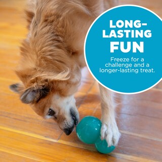 Foto 5 | Juguete Masticable Para Perros Outward Hound Double-tuff Treat Stuffer, Azul - Venta Internacional.