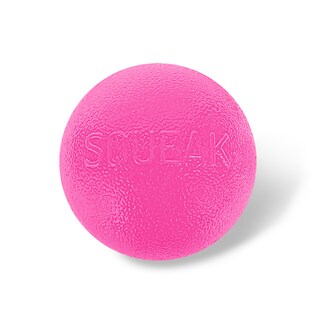 Foto 1 | Bola Chirriante Dog Fetch Toy Outward Hound Orbee-tuff, Rosa - Venta Internacional.