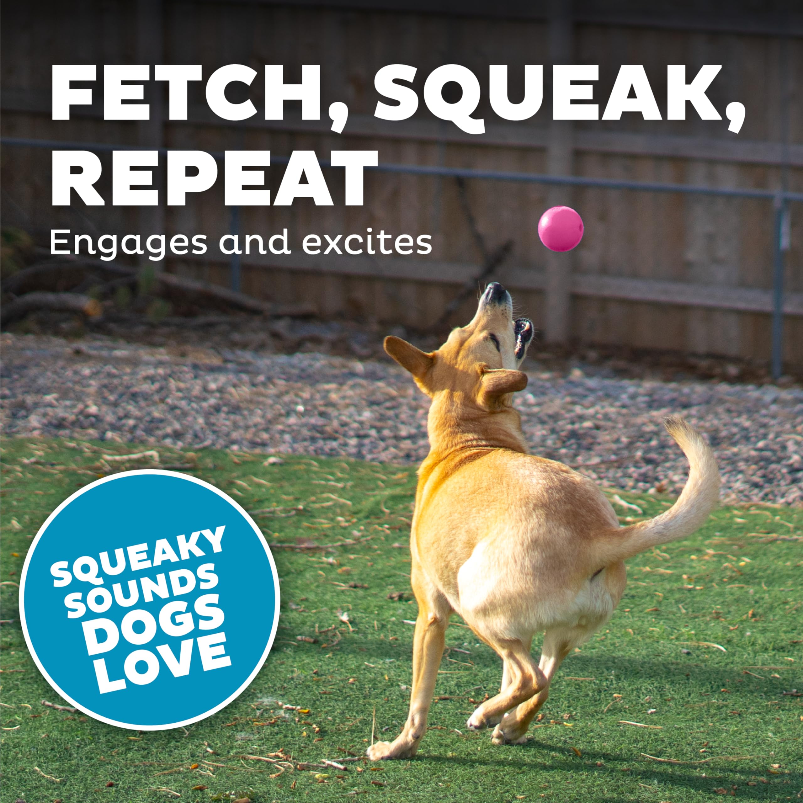 Foto 6 pulgar | Bola Chirriante Dog Fetch Toy Outward Hound Orbee-tuff, Rosa - Venta Internacional.
