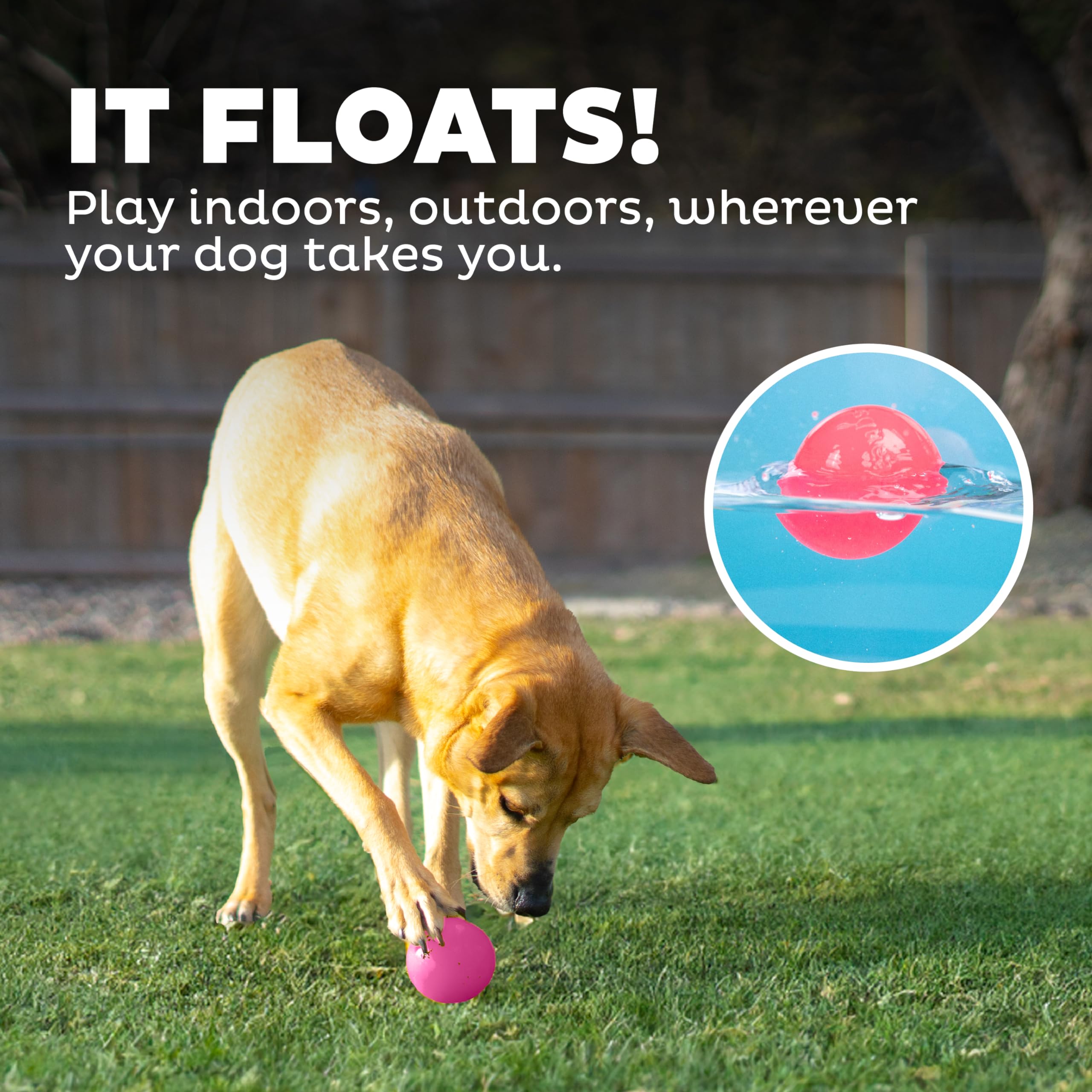 Foto 7 pulgar | Bola Chirriante Dog Fetch Toy Outward Hound Orbee-tuff, Rosa - Venta Internacional.