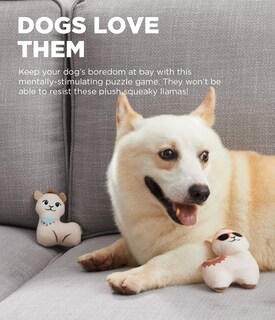 Foto 2 | Juguete De Peluche Para Perros Puzzle Outward Hound Hide A Llama - Venta Internacional.