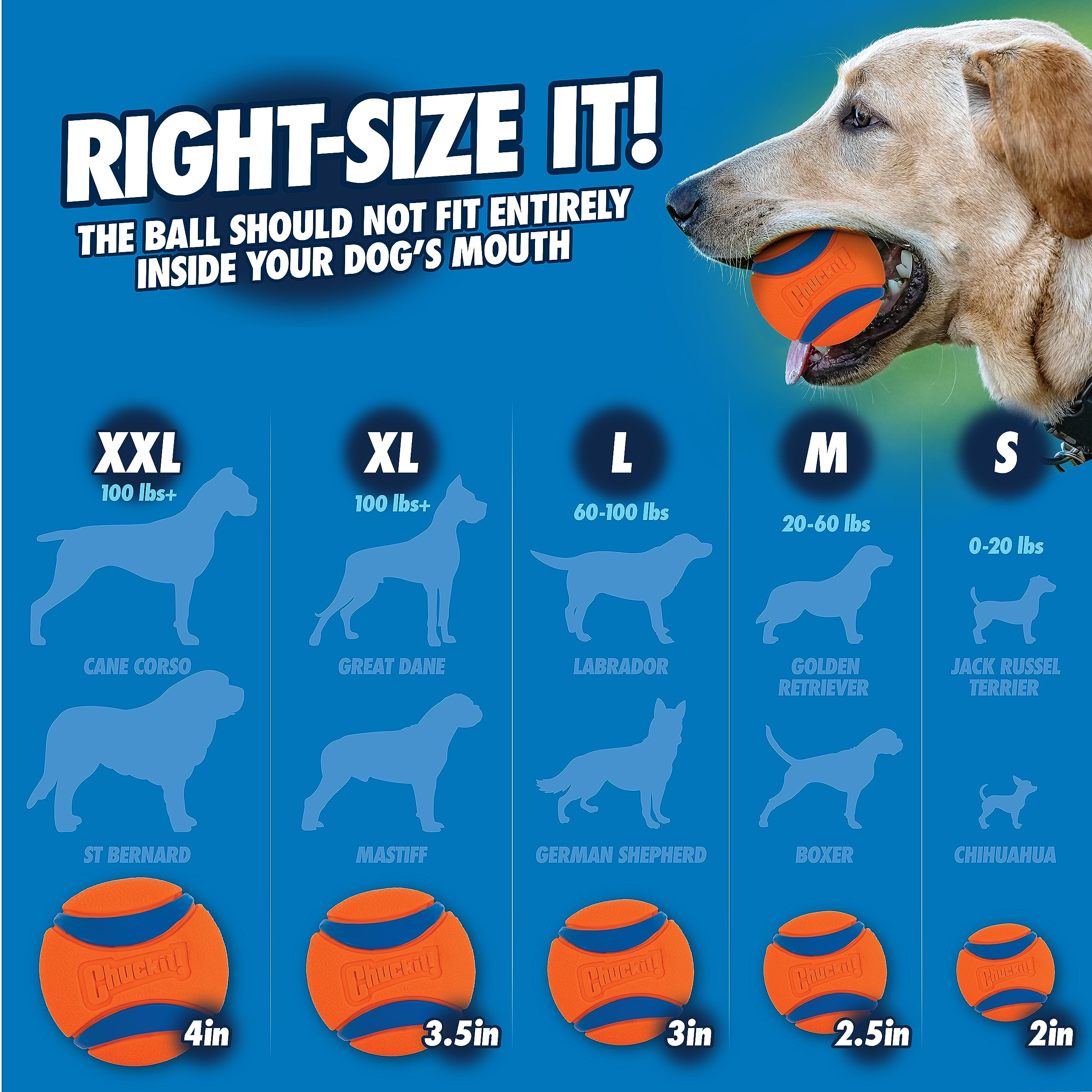 Foto 8 pulgar | Lanzador De Pelotas Para Perros Chuckit! Pro 18 M Max Glow Con Bola Mediana - Venta Internacional.