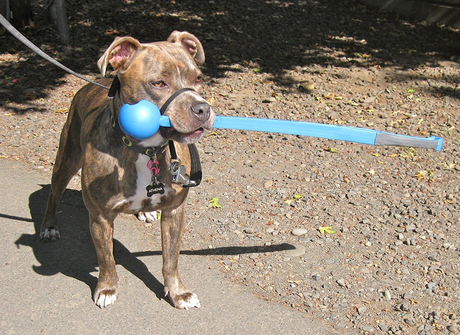 Foto 3 | Juguete Para Perros Chuckit! Lanzador De Pelotas Sport 26 Con Pelota Grande - Venta Internacional.