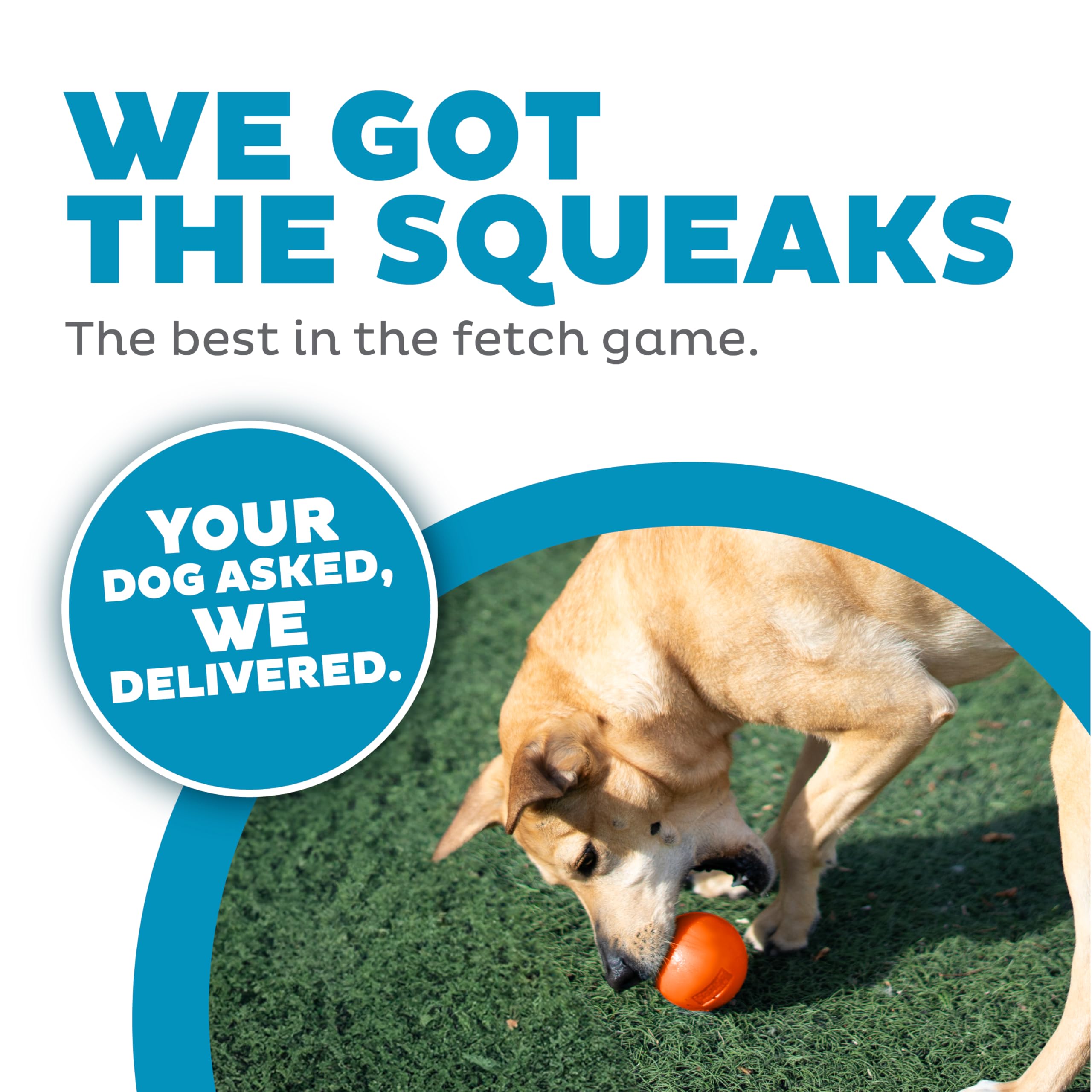 Foto 4 pulgar | Dog Fetch Toy Outward Hound Orbee-tuff Squeak Ball Naranja - Venta Internacional.