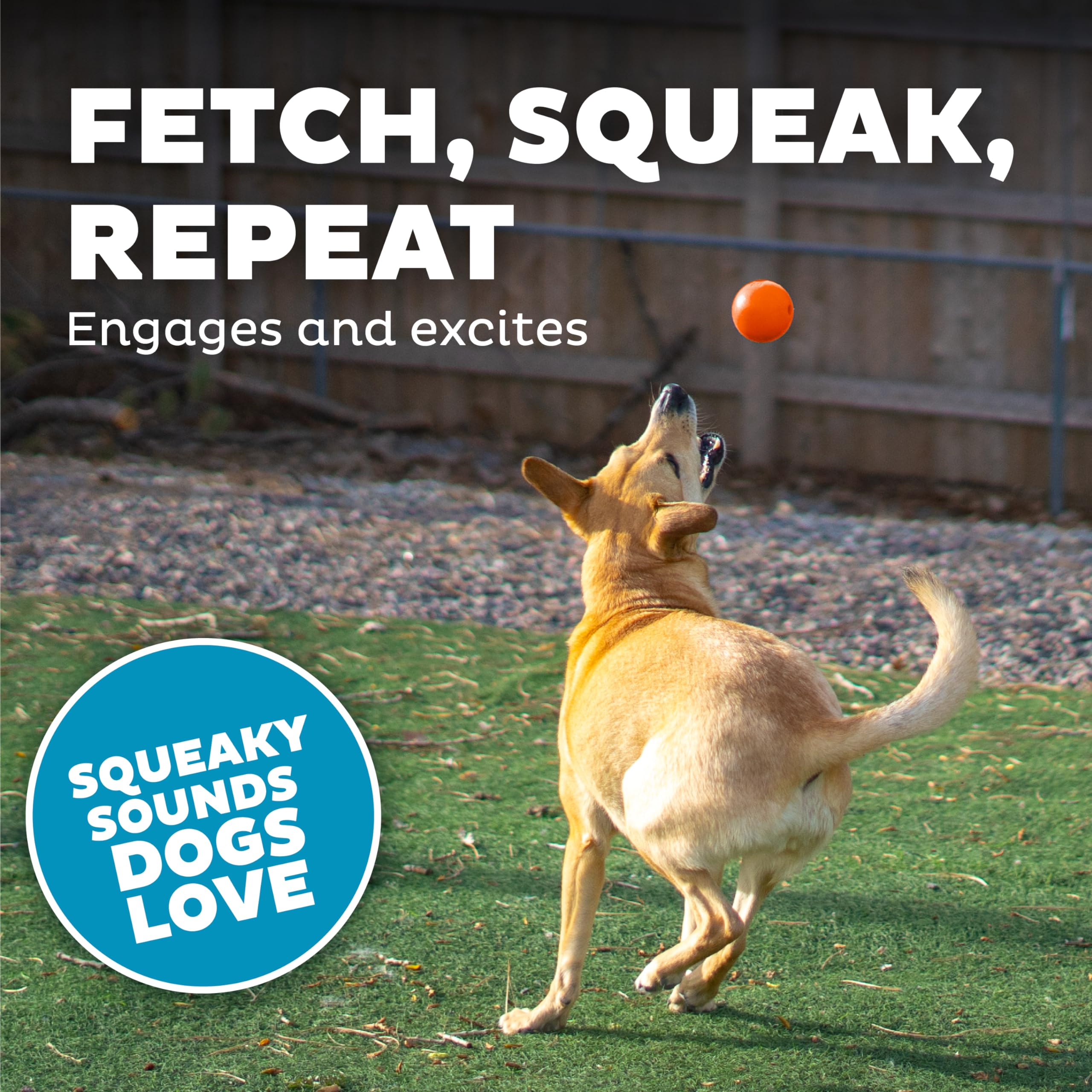 Foto 6 pulgar | Dog Fetch Toy Outward Hound Orbee-tuff Squeak Ball Naranja - Venta Internacional.
