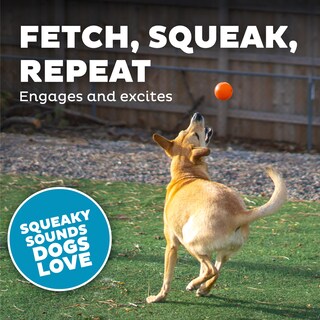 Foto 5 | Dog Fetch Toy Outward Hound Orbee-tuff Squeak Ball Naranja - Venta Internacional.