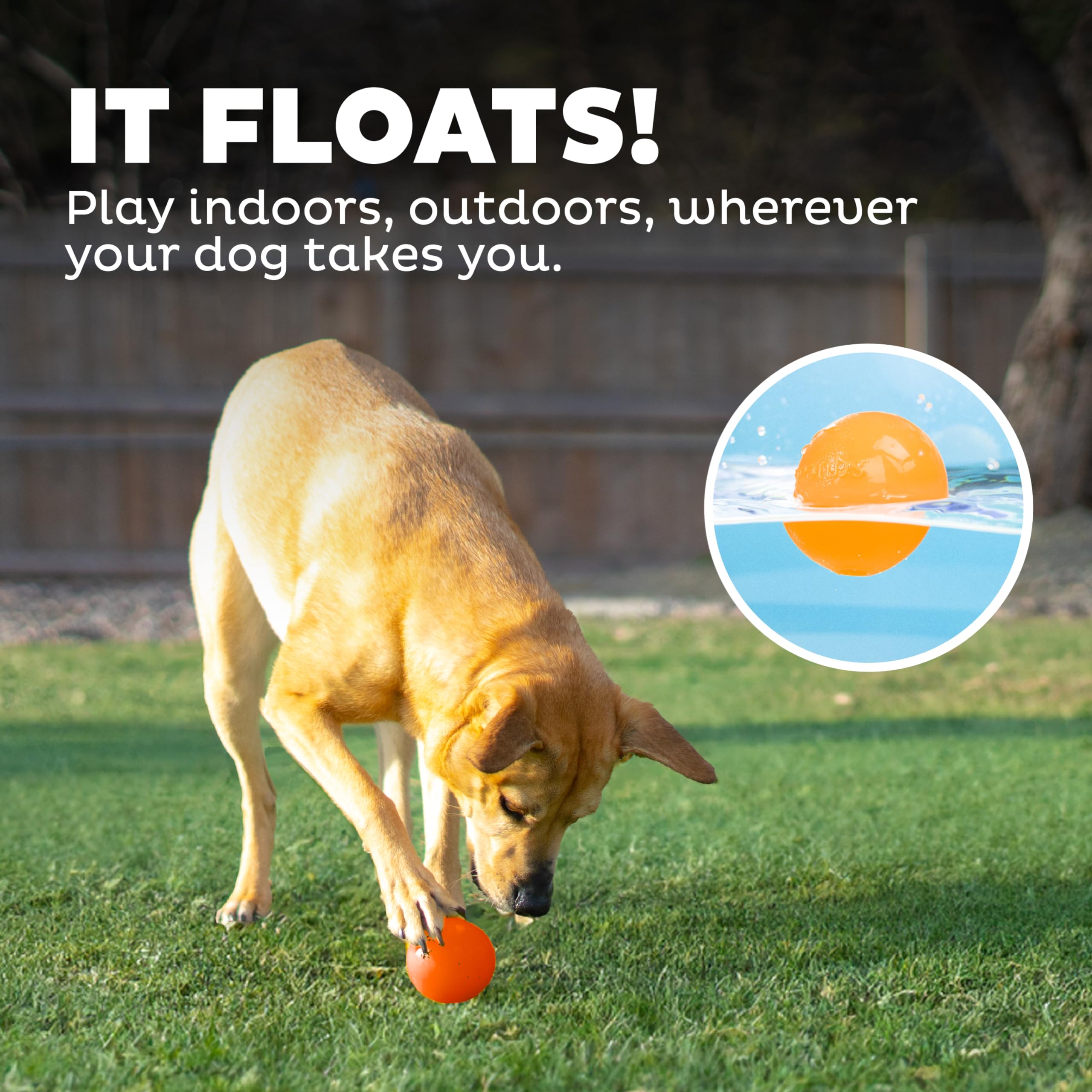 Foto 7 pulgar | Dog Fetch Toy Outward Hound Orbee-tuff Squeak Ball Naranja - Venta Internacional.