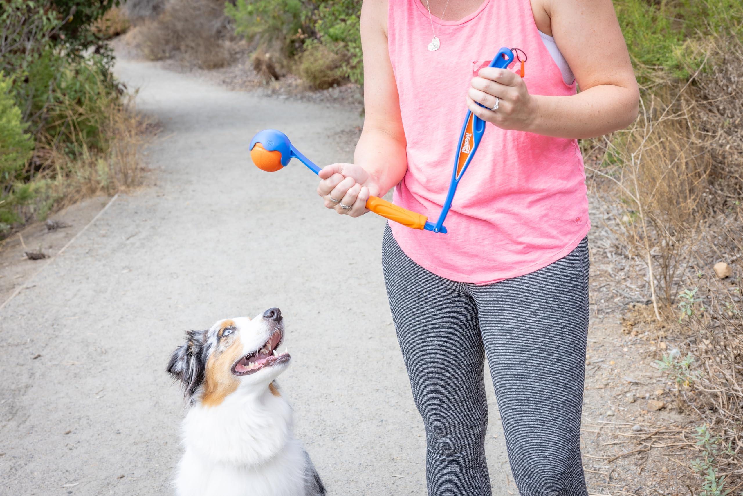Foto 6 pulgar | Lanzador De Pelotas Para Perros Chuckit! Fetch & Fold Mini De 18 M - Venta Internacional.