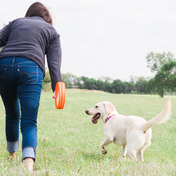 Foto 4 pulgar | Juguete Para Perros Chuckit! Rueda Fetch Rueda Robusta Para Perros Medianos - Venta Internacional.