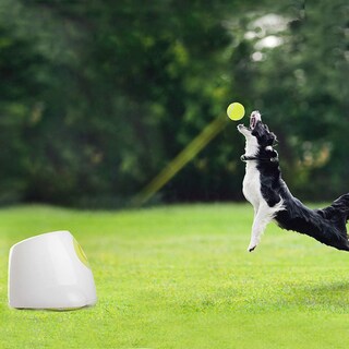 Foto 3 | Lanzador Automático De Bolas, Ideal Para Perros Grandes, Ideal Para Perros Grandes - Venta Internacional.