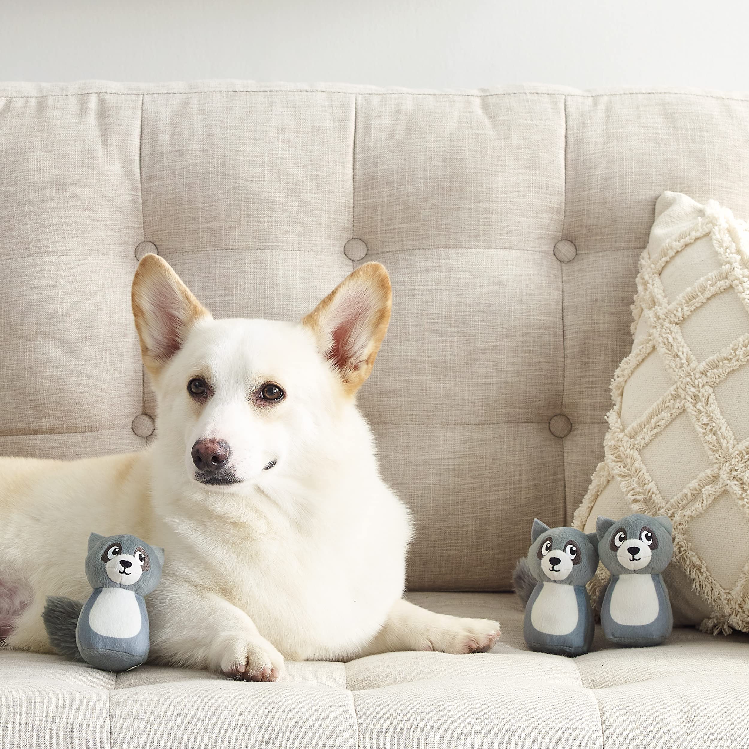 Foto 5 | Juguetes De Repuesto Para Perros Outward Hound Squeakin' Racoon, Paquete De 3 - Venta Internacional.