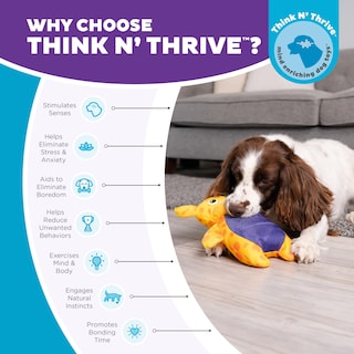 Foto 6 | Puzle Interactivo Para Perros De Peluche Outward Hound Nina Ottosson - Venta Internacional.