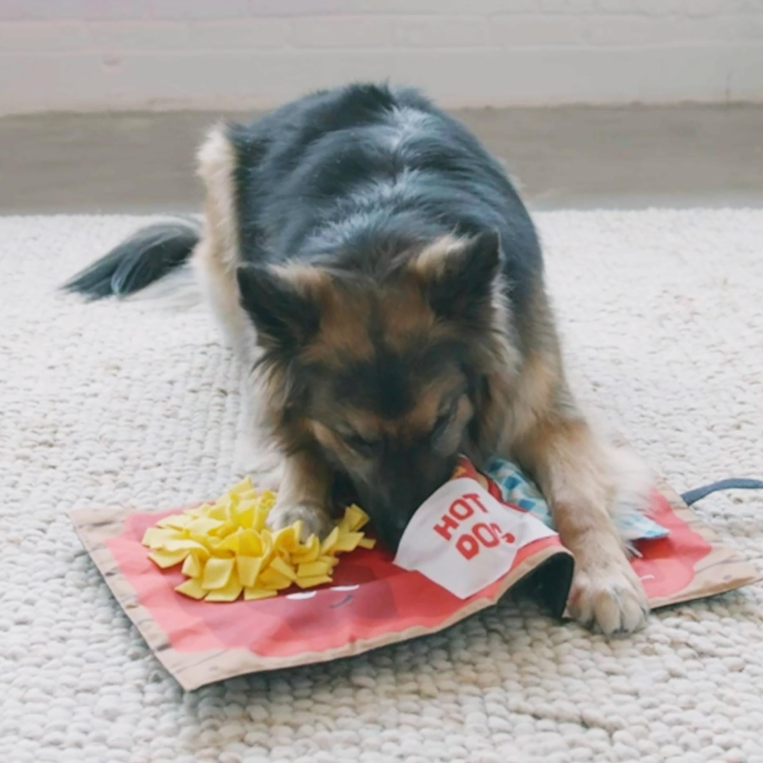 Foto 5 | Colchoneta Para Perros Outward Hound Nina Ottosson Activity Matz - Venta Internacional.