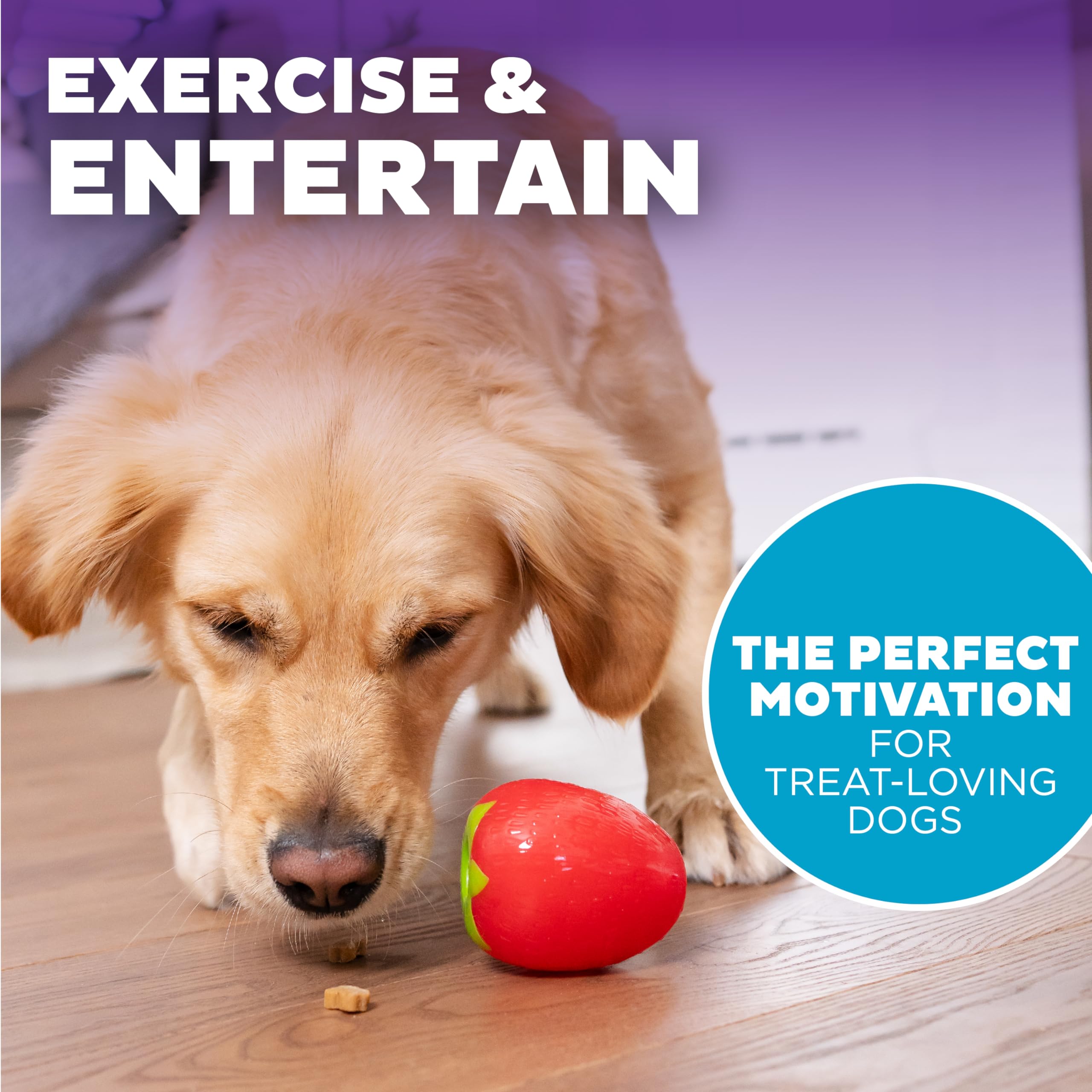 Foto 7 pulgar | Juguete Masticable Para Perros Outward Hound Foodies, Zanahoria, Fresa, Rosa - Venta Internacional.