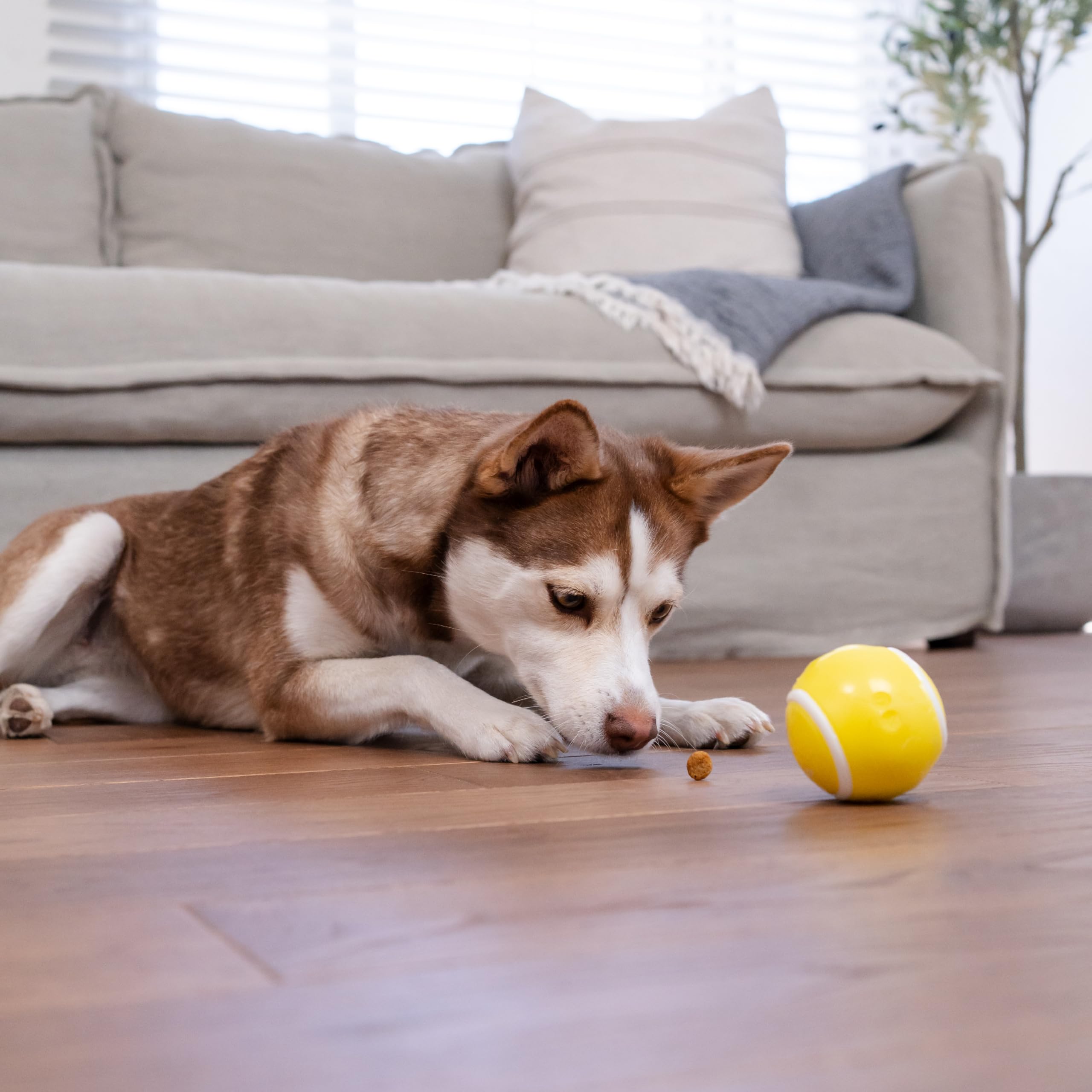 Foto 8 pulgar | Dog Toy Outward Hound Sport Ballz, Dispensador De Pelotas De Tenis - Venta Internacional.