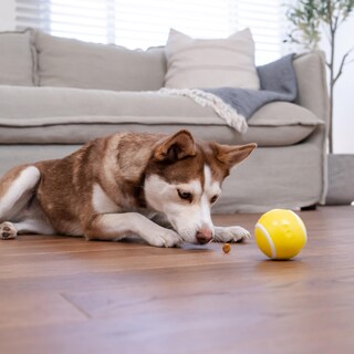 Foto 7 | Dog Toy Outward Hound Sport Ballz, Dispensador De Pelotas De Tenis - Venta Internacional.