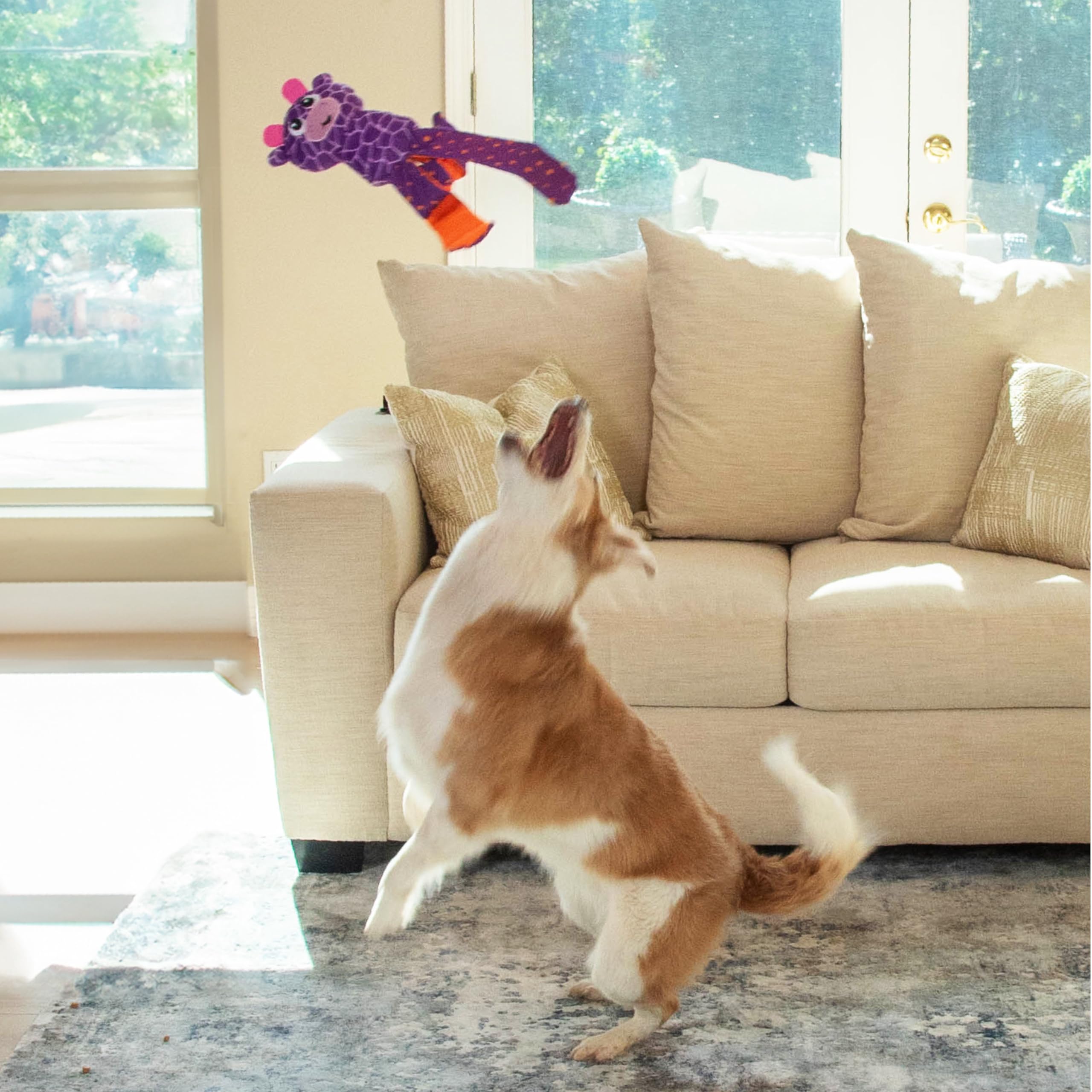Foto 6 pulgar | Puzzle Para Perros Outward Hound Nina Ottosson Silly Legz De Peluche - Venta Internacional.