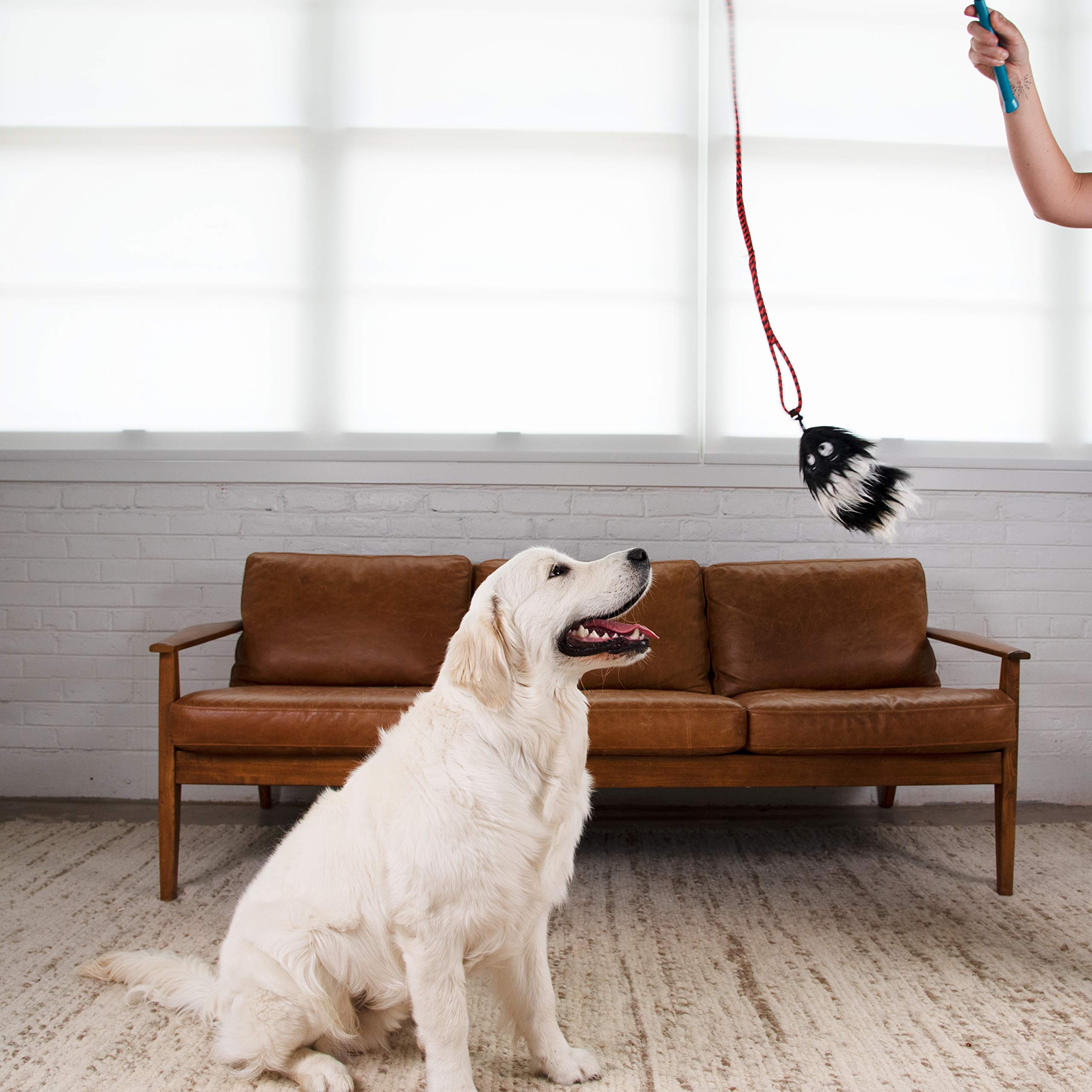 Foto 8 pulgar | Dog Wand Outward Hound Tail Teaser Con Suaves Juguetes De Peluche - Venta Internacional.