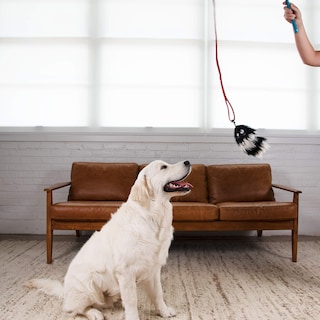 Foto 7 | Dog Wand Outward Hound Tail Teaser Con Suaves Juguetes De Peluche - Venta Internacional.