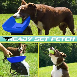 Foto 2 | Lanzador Automático De Pelotas De Tenis Franklin Pet - Venta Internacional.