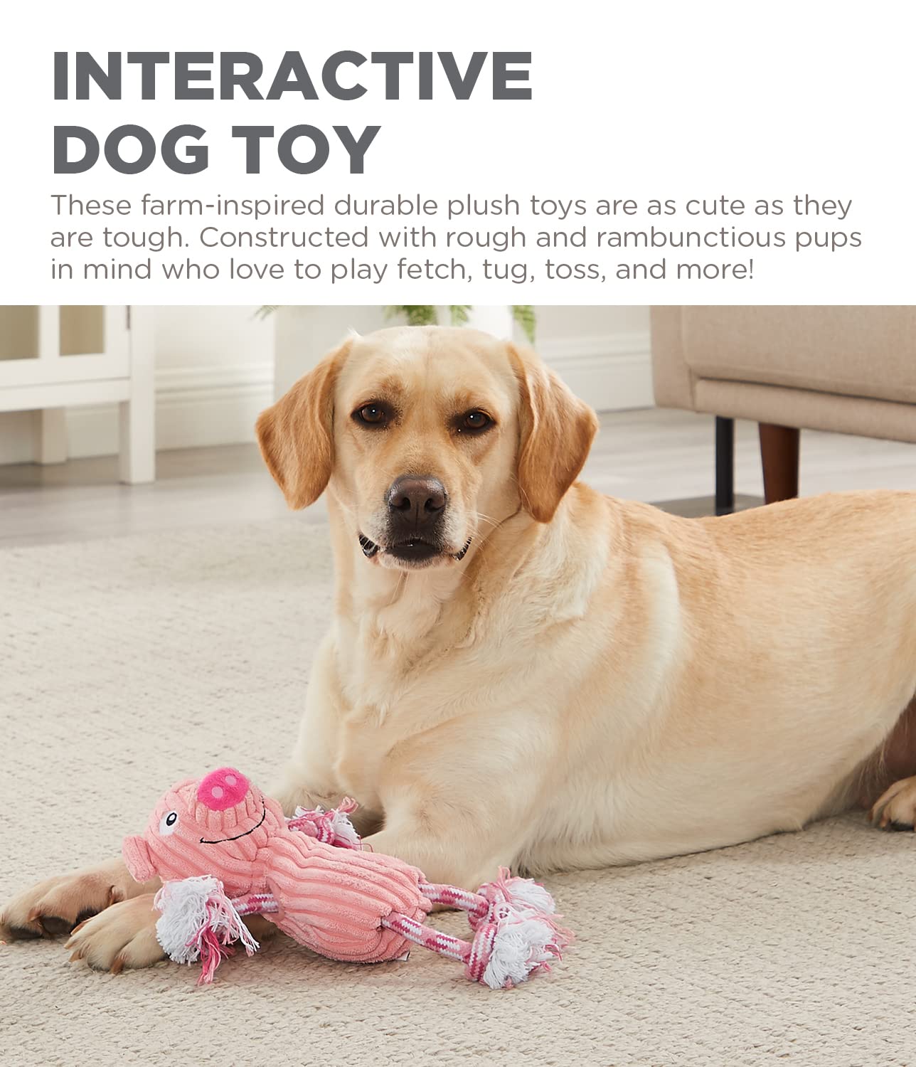 Foto 4 pulgar | Juguete De Peluche Para Perros Outward Hound Charming Pet Ranch Roperz - Venta Internacional.