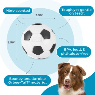 Foto 4 | Dog Toy Outward Hound Sport Ballz, Dispensador De Balones De Fútbol - Venta Internacional.