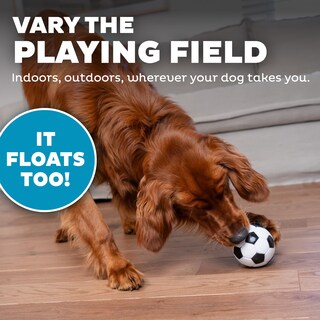 Foto 6 | Dog Toy Outward Hound Sport Ballz, Dispensador De Balones De Fútbol - Venta Internacional.