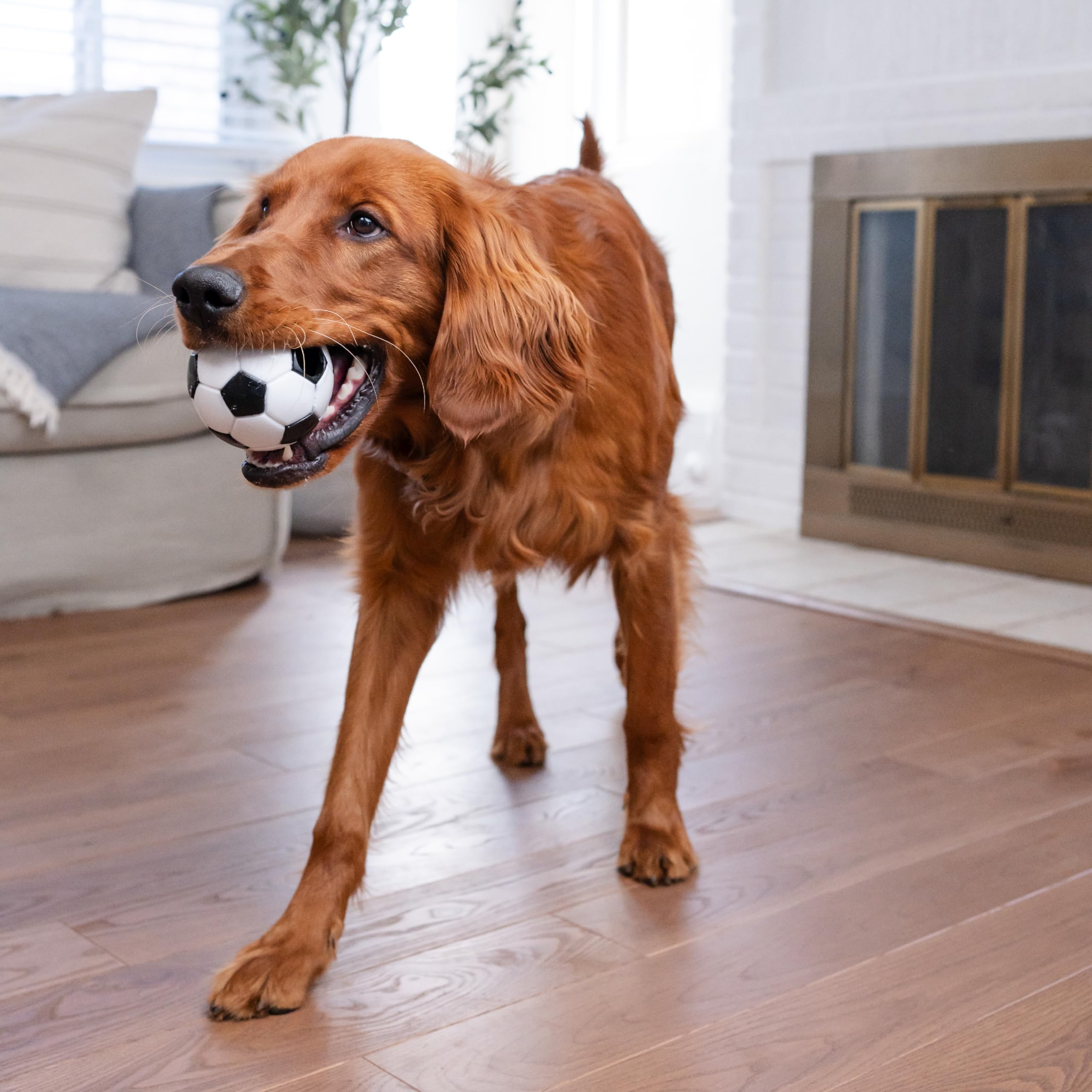 Foto 8 pulgar | Dog Toy Outward Hound Sport Ballz, Dispensador De Balones De Fútbol - Venta Internacional.